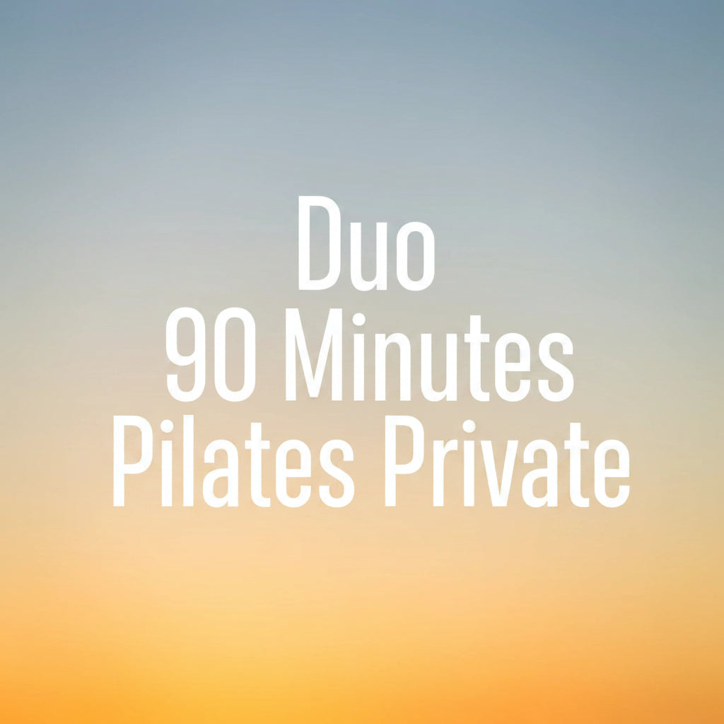 Lovjoy One Hour Pilates Zoom private session, showing a person practicing Pilates exercises during a virtual training class.