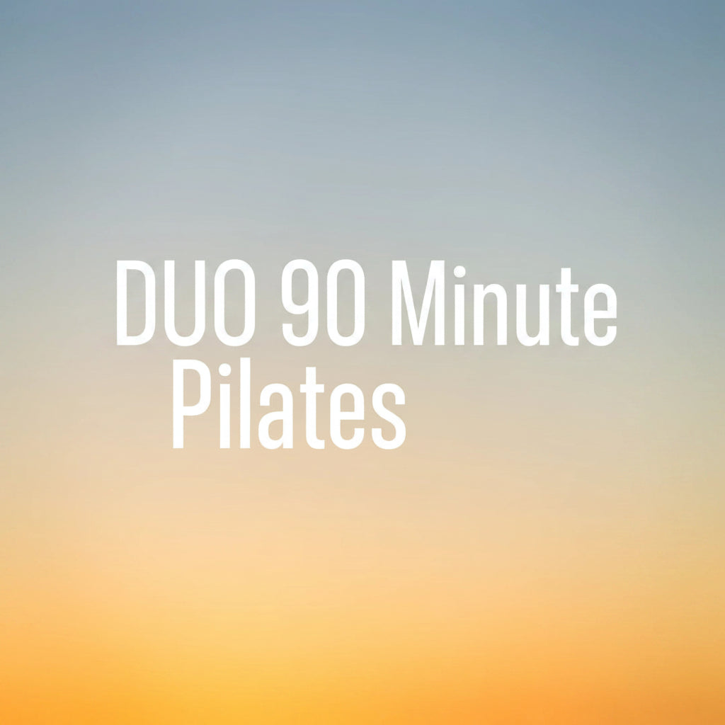 LOVJOY One Hour Pilates Zoom private session, showing a instructor guiding a client through Pilates exercises during a virtual class.