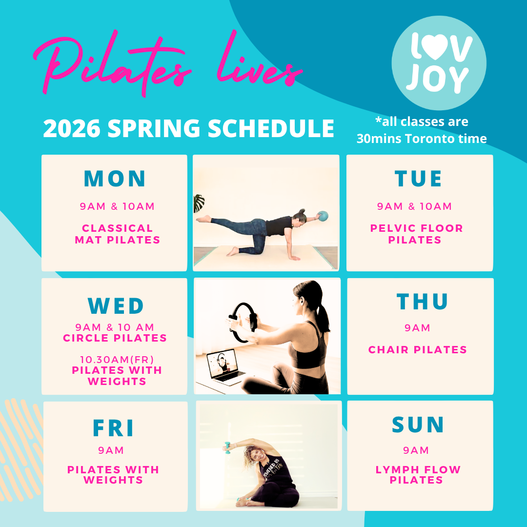 Zoom Group Pilates class hosted by LOVJOY, featuring participants practicing Pilates exercises in a virtual session.