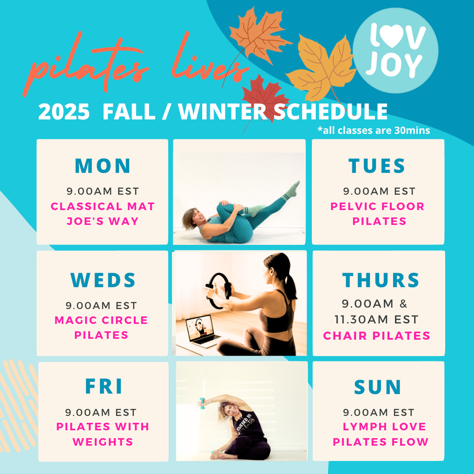 ZOOM Group Pilates Class